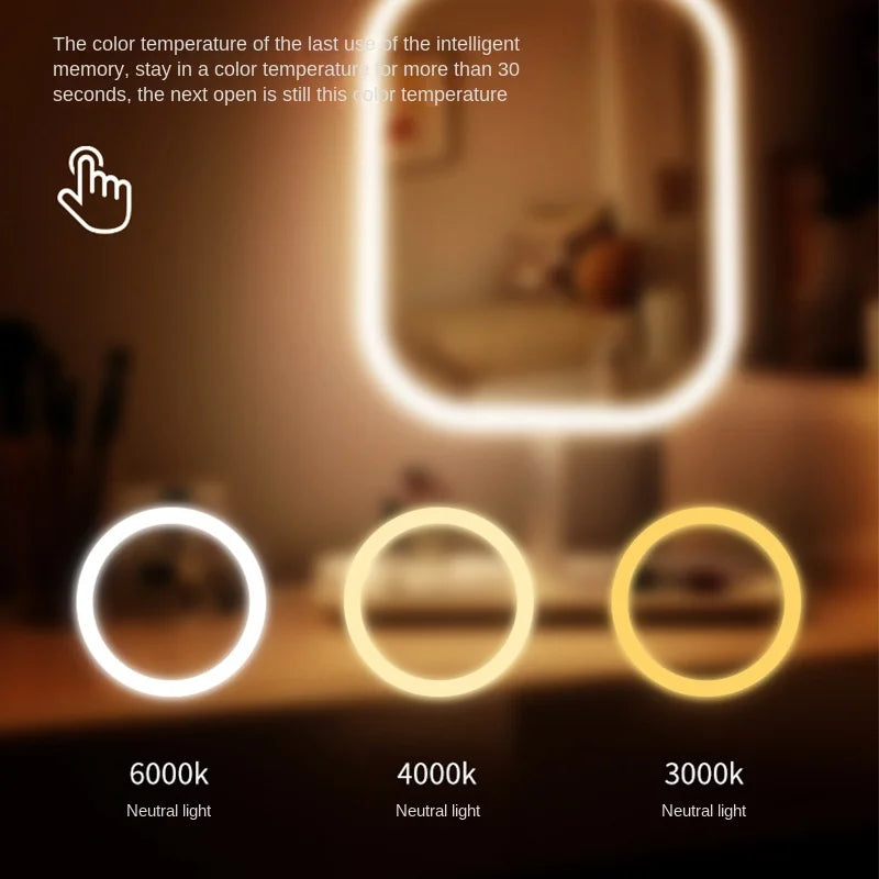 Niche Modern Desktop Vanity Mirror 3 Color Light LED Makeup Mirror