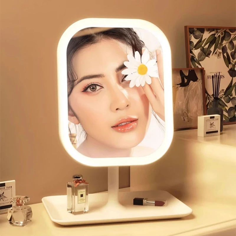 Niche Modern Desktop Vanity Mirror 3 Color Light LED Makeup Mirror